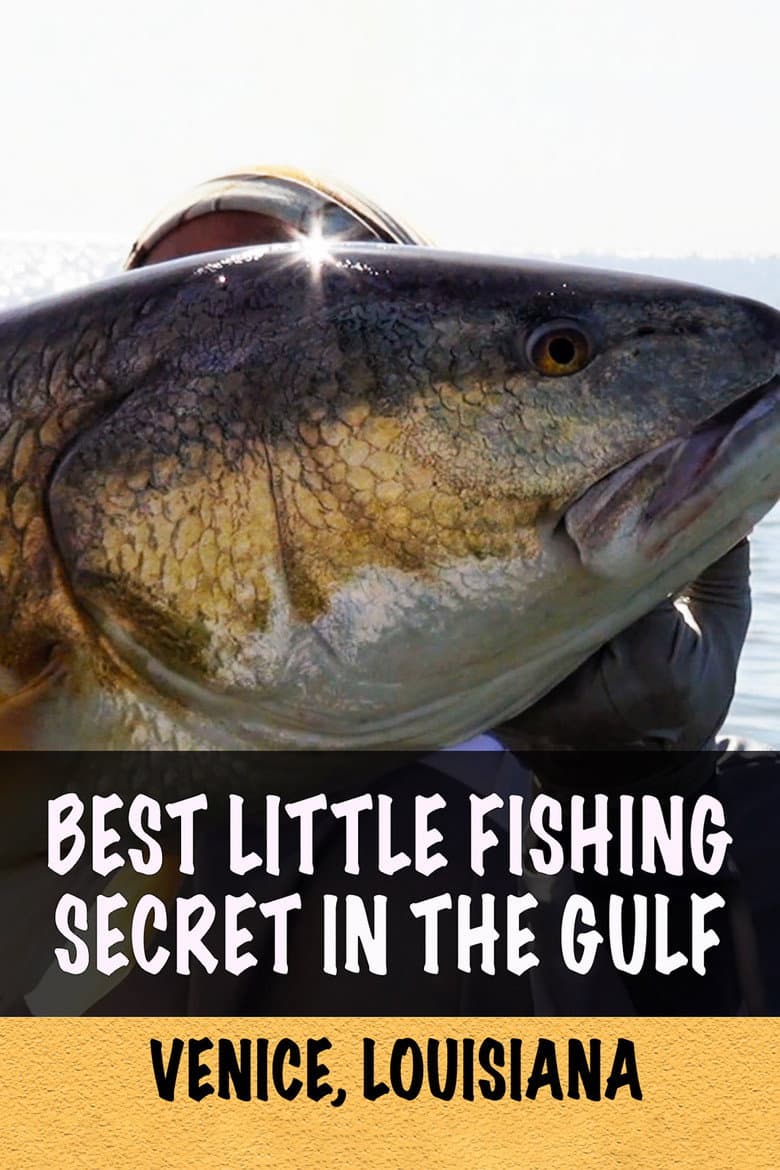 Best Little Fishing Secret in the Gulf: Venice, Louisiana poster