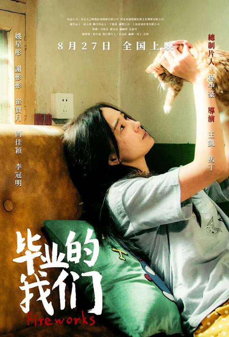 Fireworks poster