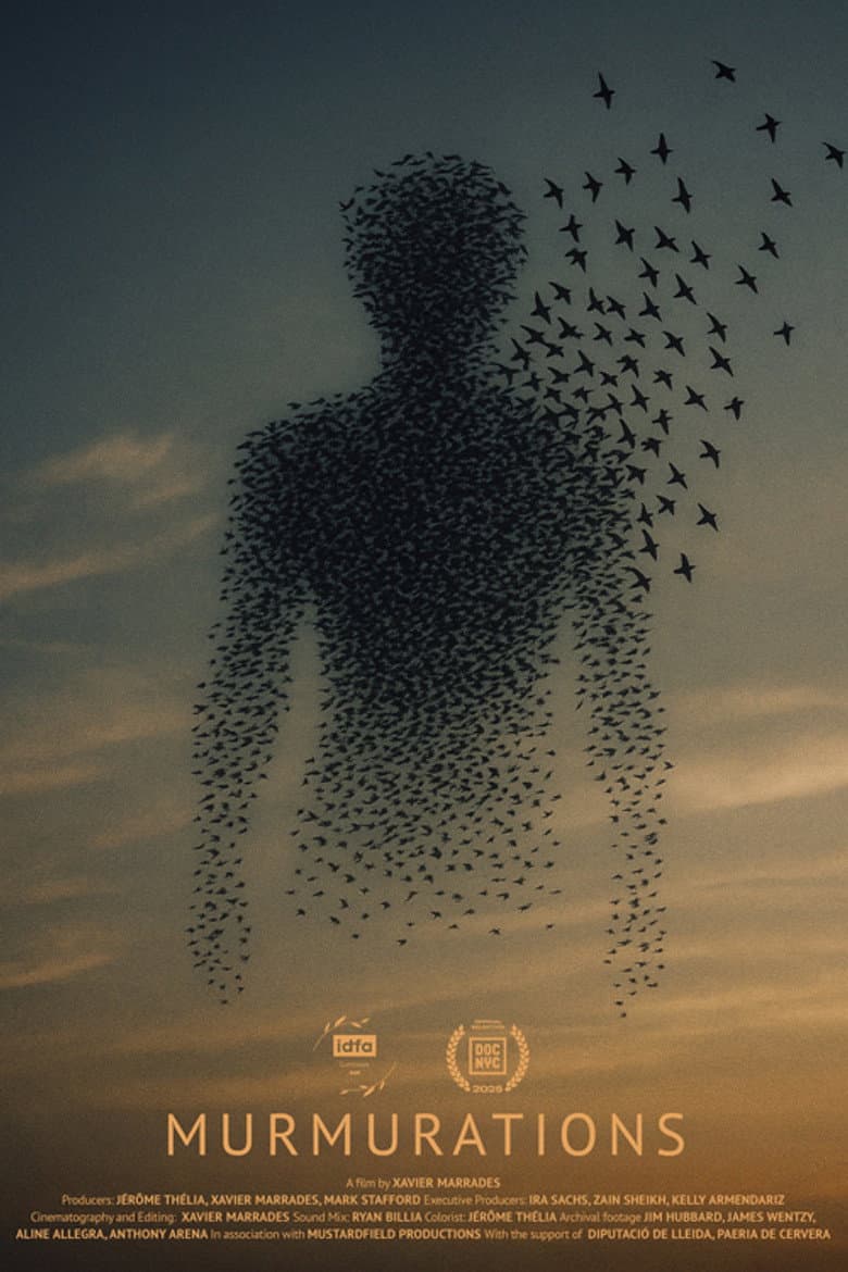 Murmurations poster