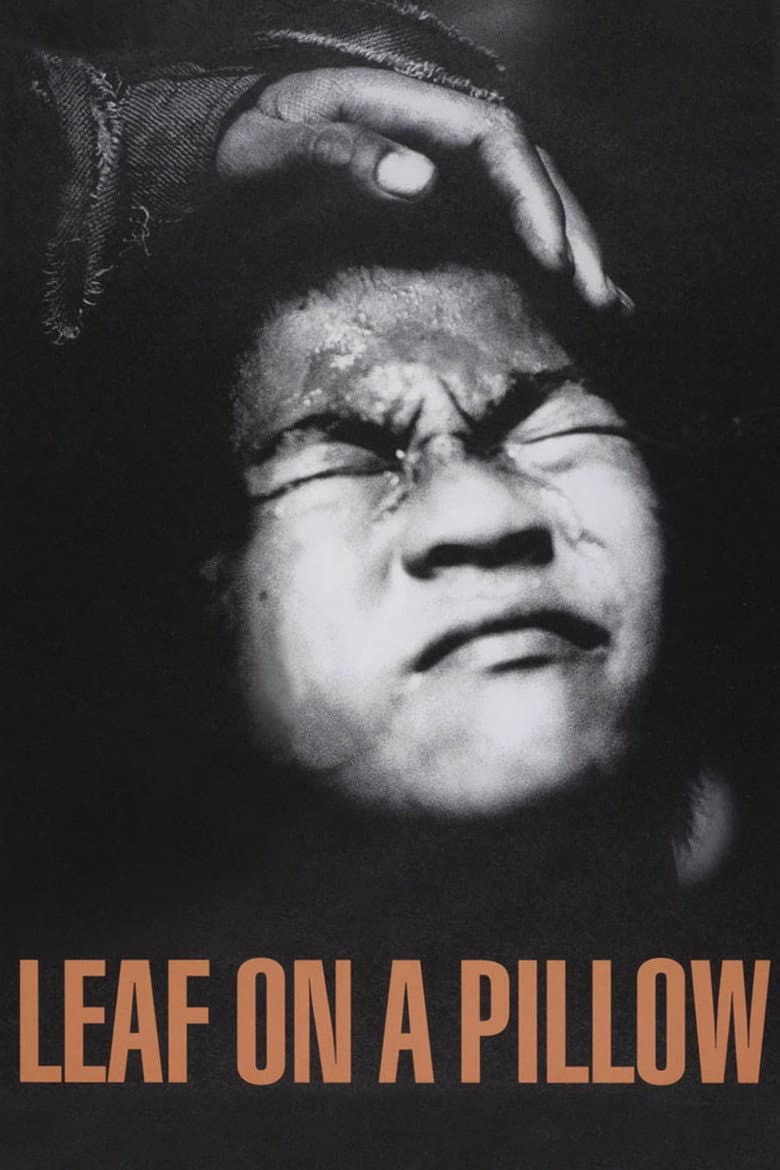 Leaf on a Pillow poster