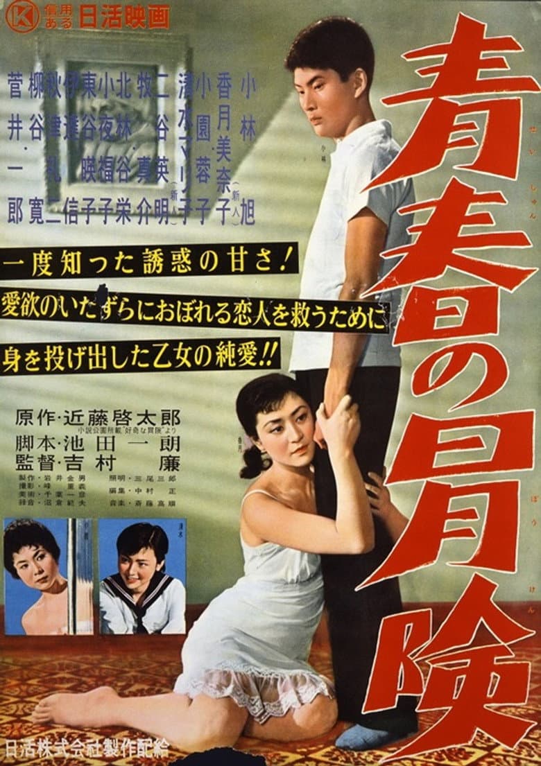 The Way of Youth poster