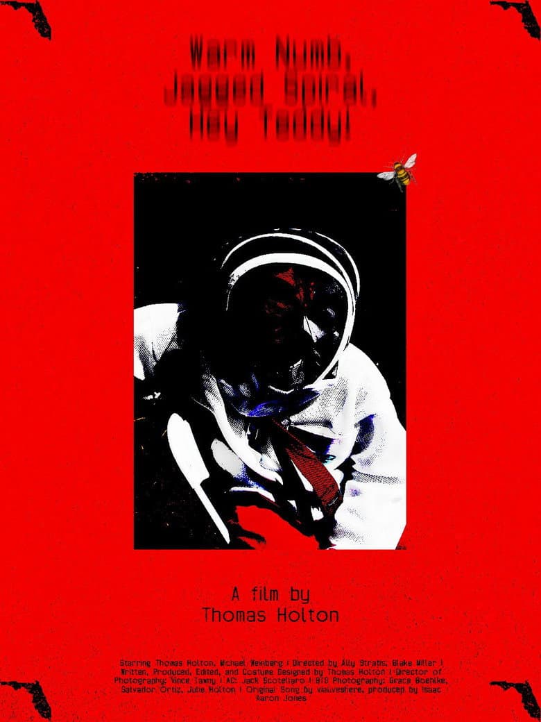 Warm Numb, Jagged Spiral, Hey Teddy! poster