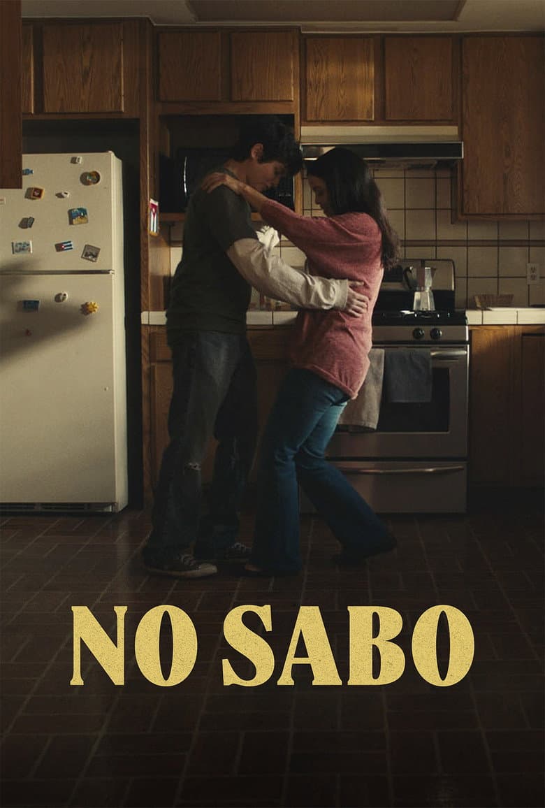 NO SABO poster