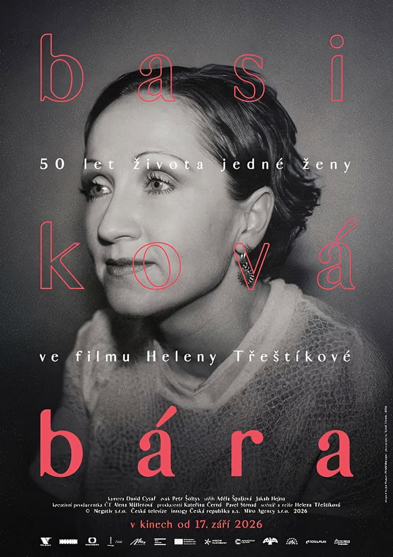 Bára - Diary of a Rockstar poster
