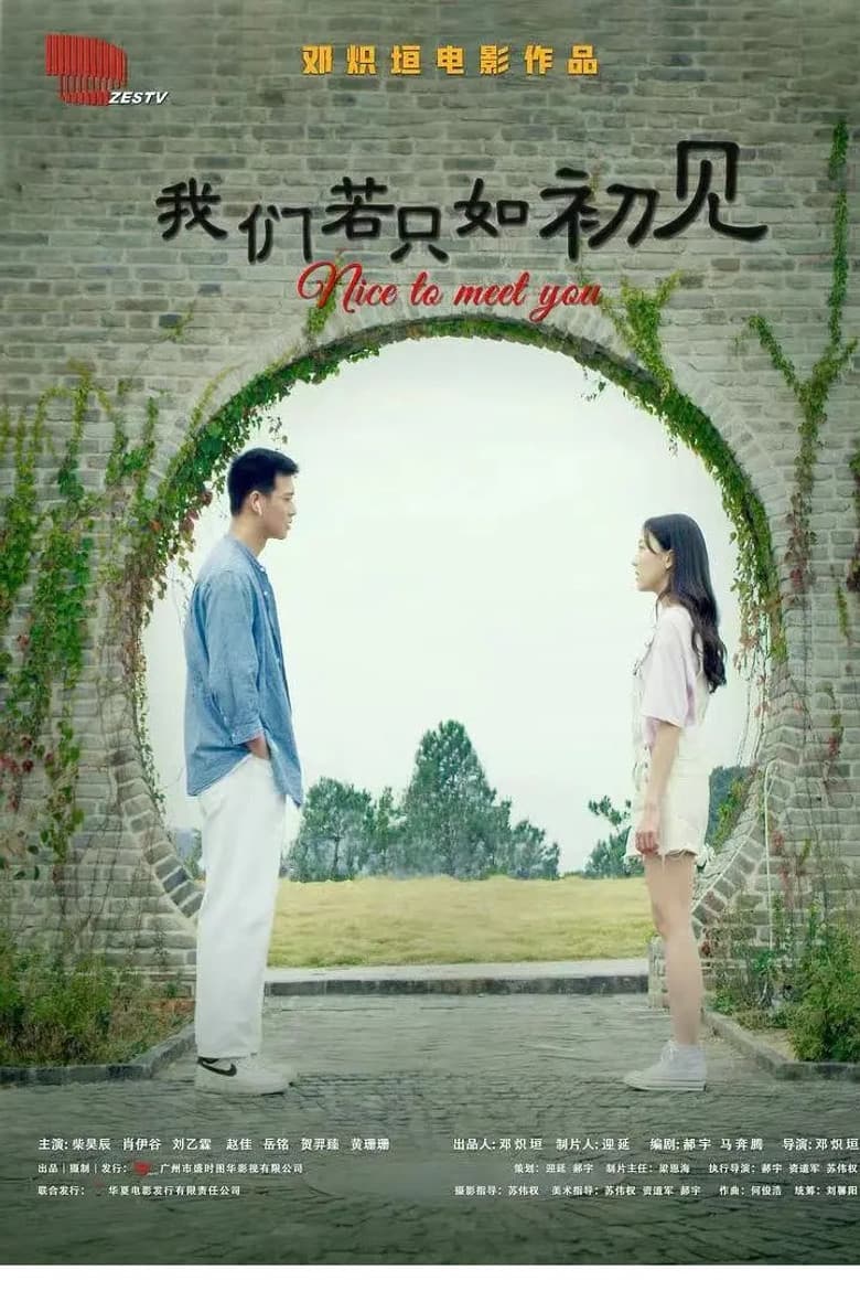 Nice to Meet You poster