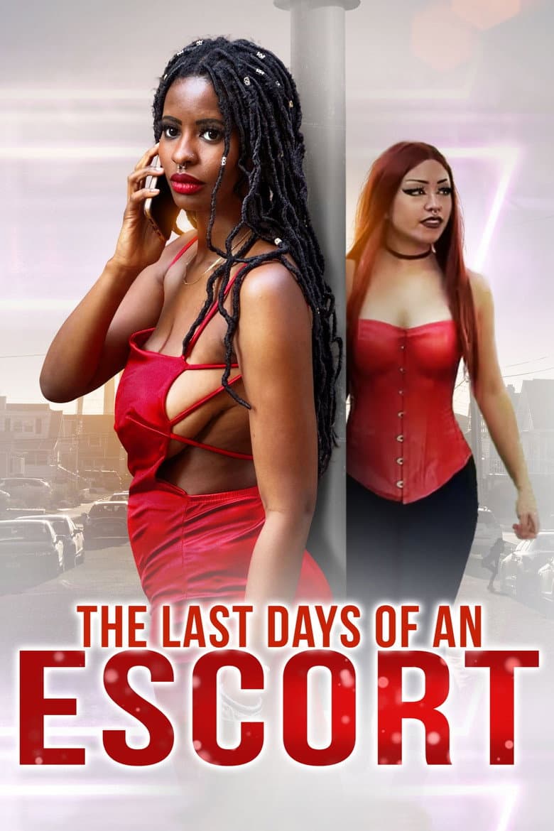 The Last Days of an Escort poster