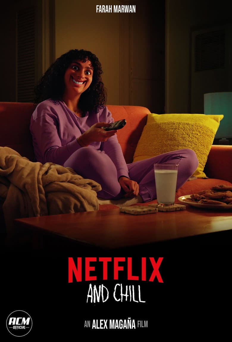 Netflix and Chill poster