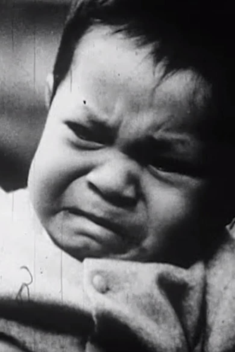 The Witness or Timid Expectations poster