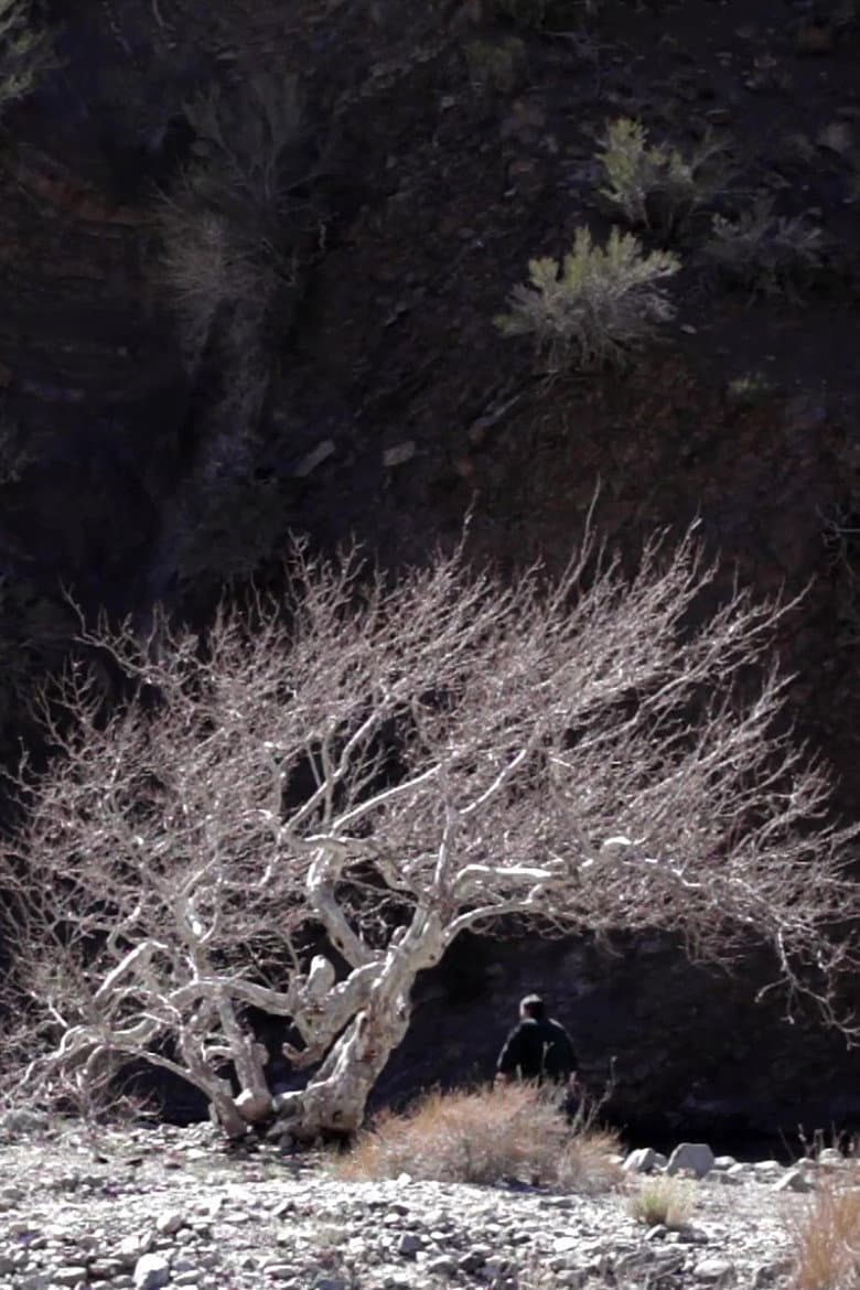 Paradise Springs poster