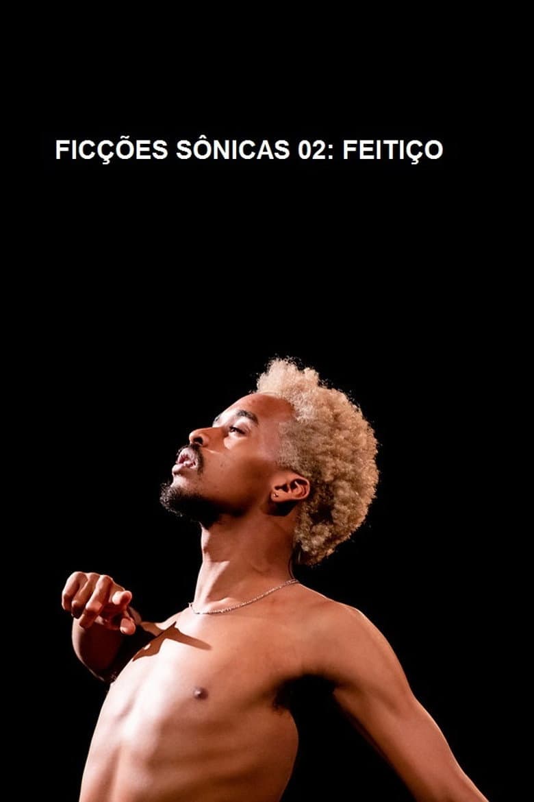 Ficções Sônicas #2 poster