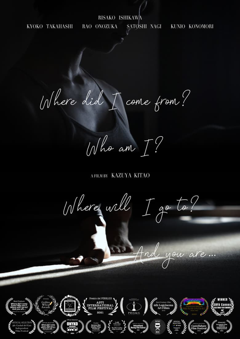 Where did I come from? Who am I? Where will I go to? And you are… poster