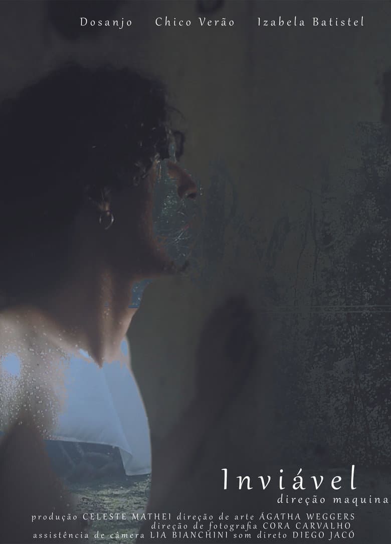Inviável poster