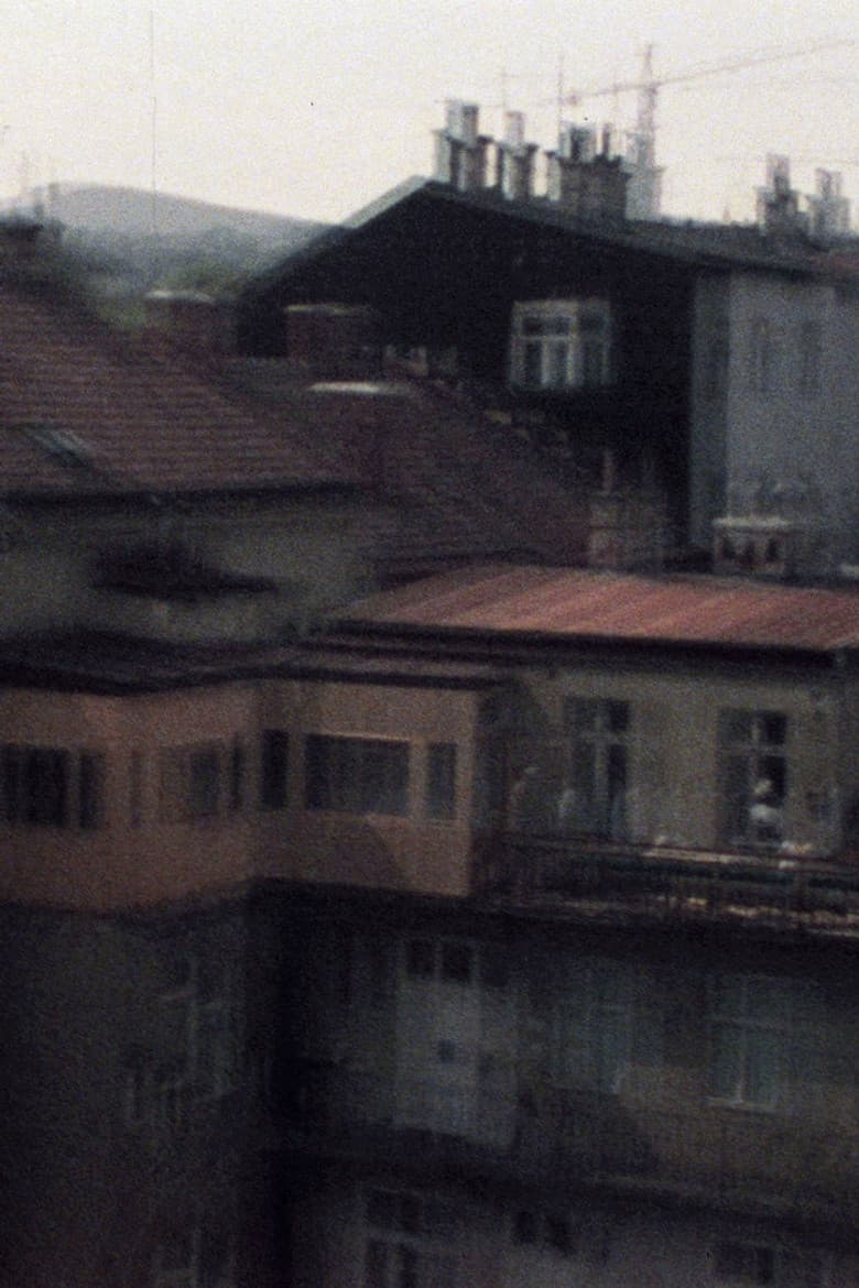 33/77 No Danube poster