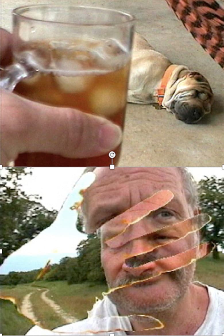 Chigger Country poster