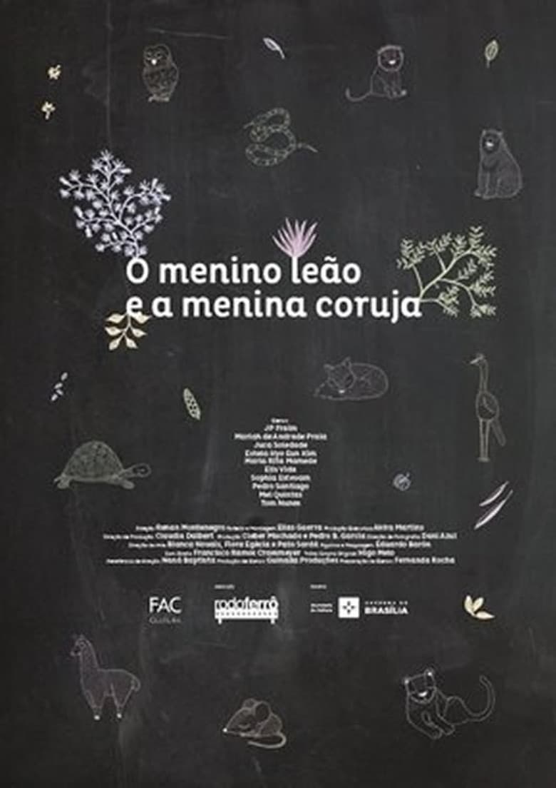 O Menino Leão e a Menina Coruja poster