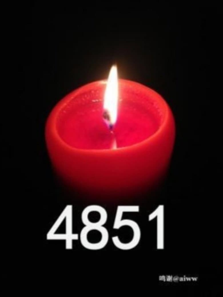 4851 poster