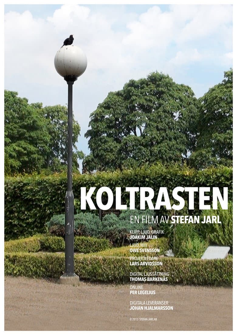 Koltrasten poster