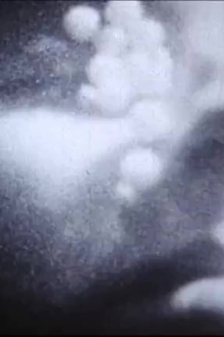 The Flamethrowers poster