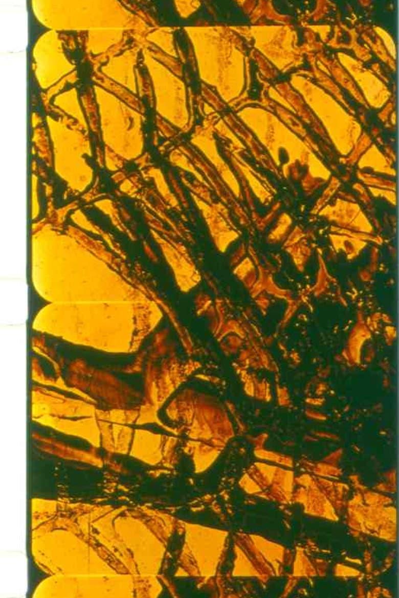 We Hold These poster