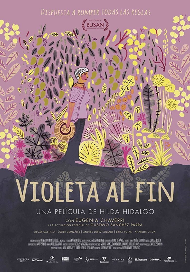 Violeta at Last poster