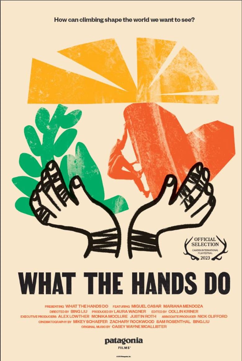 What the Hands Do poster