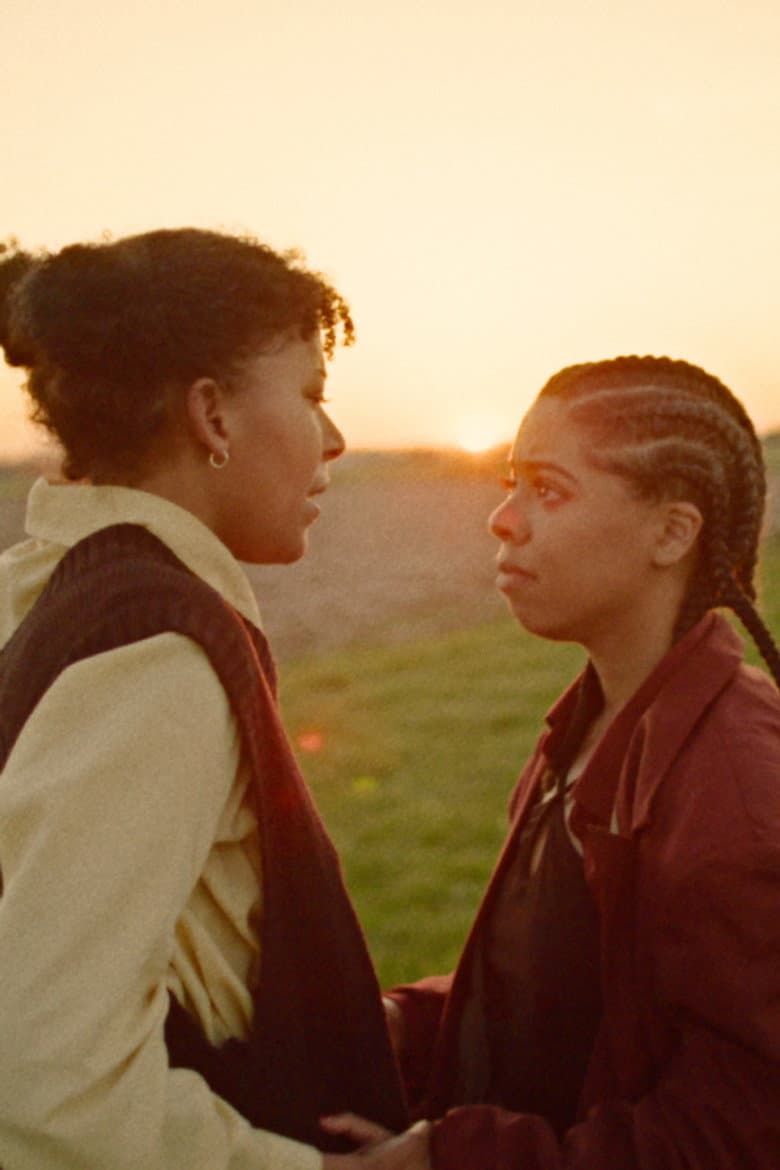 It's Been a Year poster