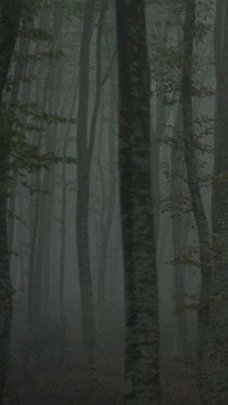 Refuge II: The Ice Path poster