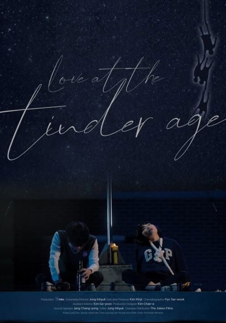 Love at the Tinder Age poster