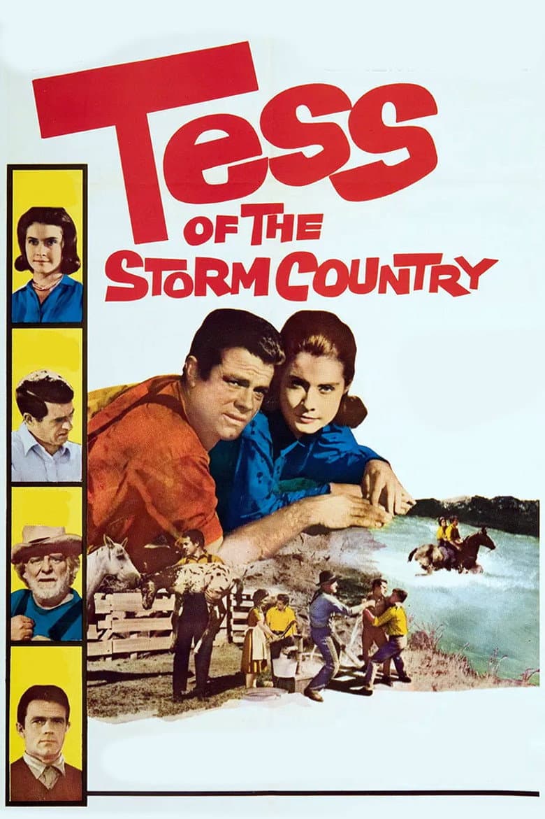 Tess of the Storm Country poster