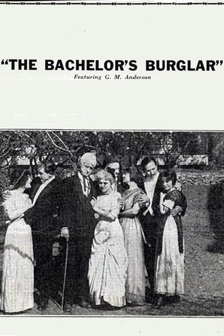 The Bachelor's Burglar poster