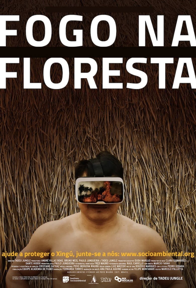 Fire in the Forest poster
