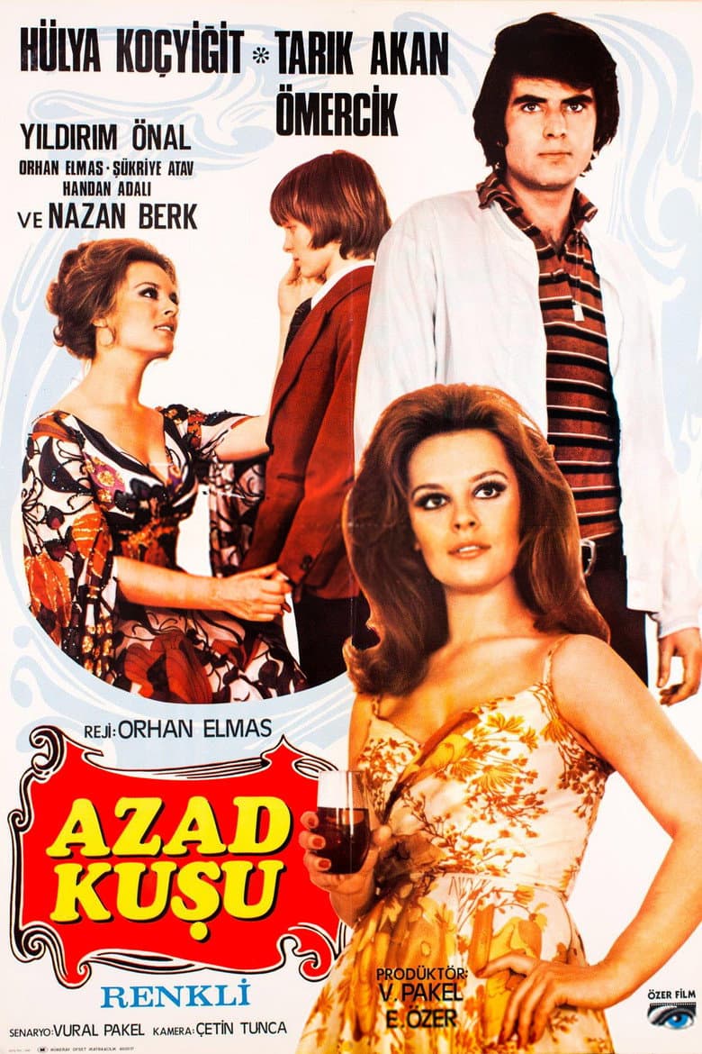Azad Kuşu poster