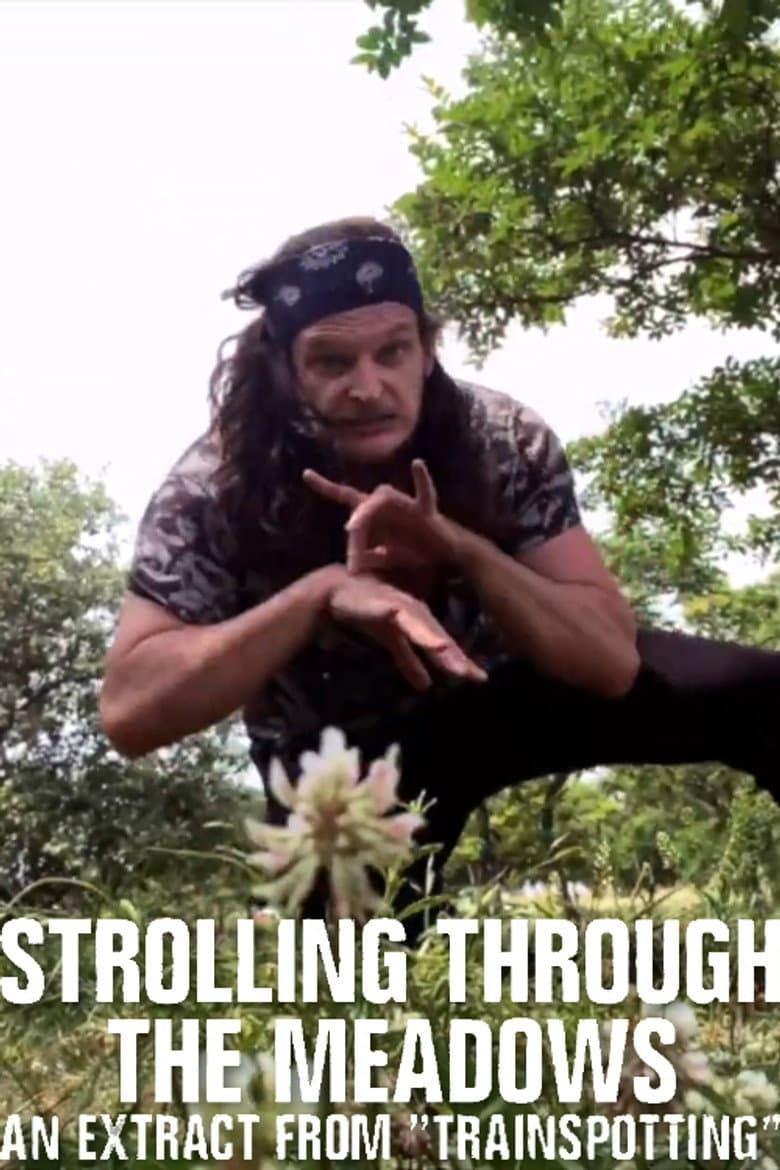 Strolling Through the Meadows poster