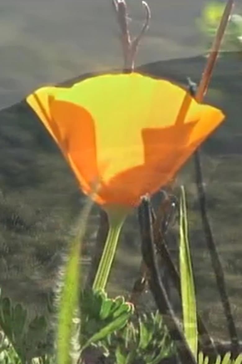 Jamboree Journey poster