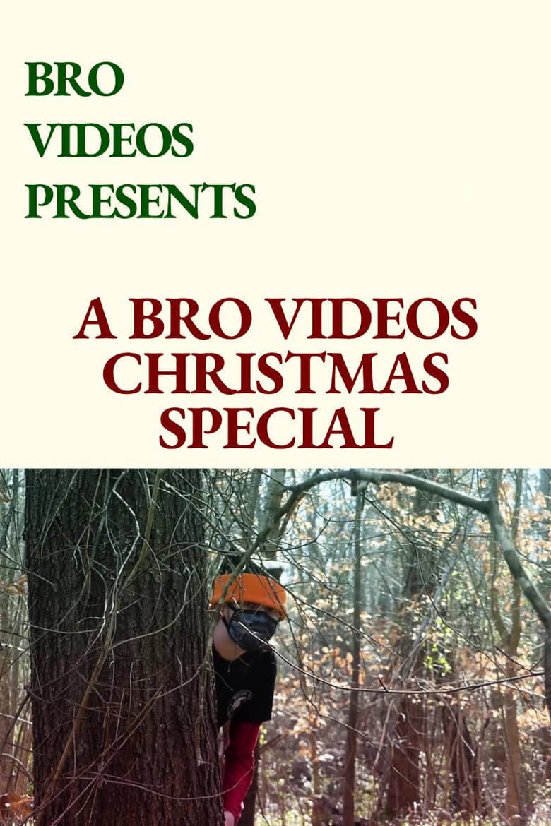 A Bro Videos Christmas Special poster