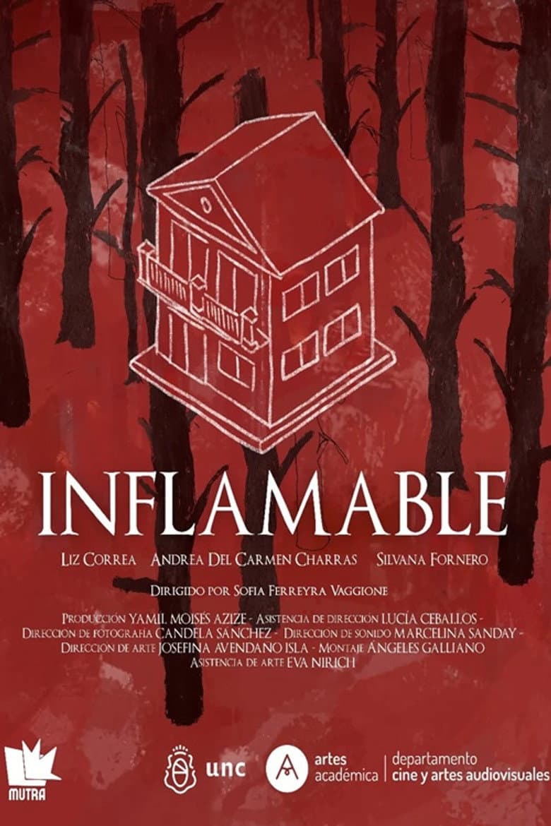 Inflamable poster