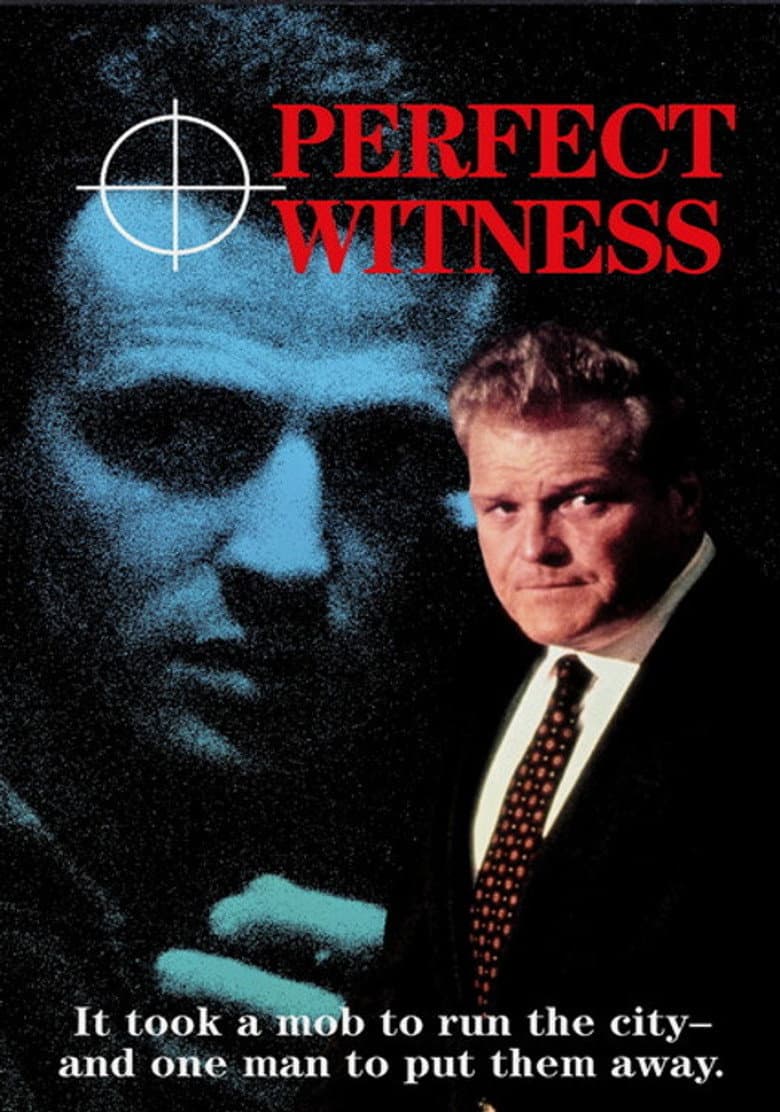 Perfect Witness poster