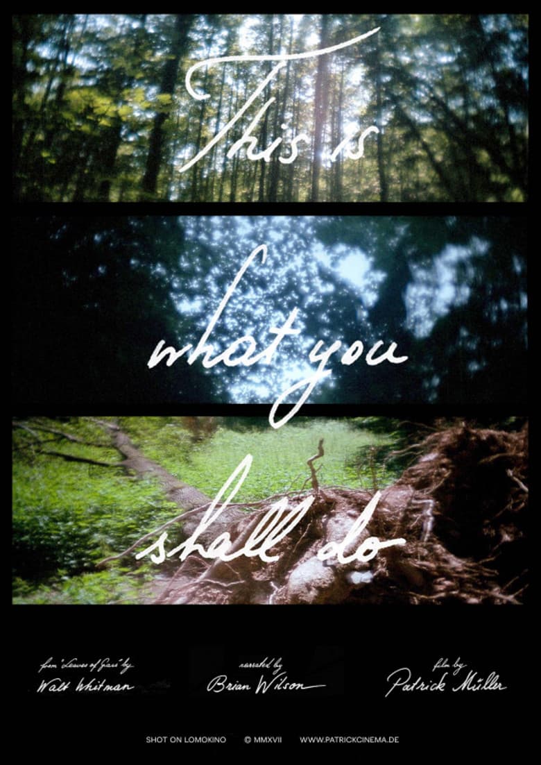 This Is What You Shall Do poster