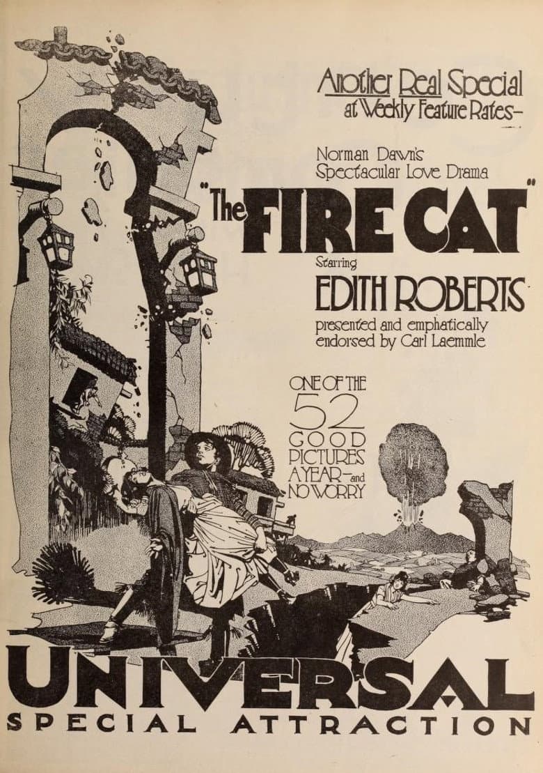 The Fire Cat poster