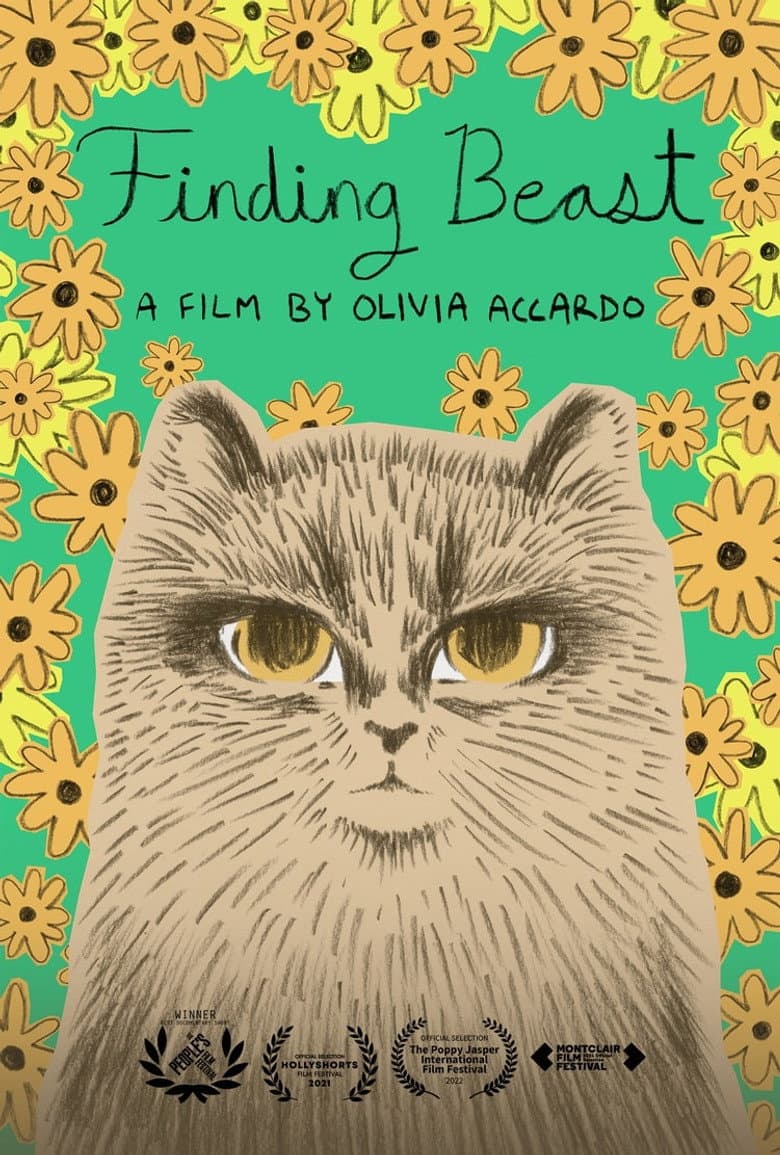 Finding Beast poster