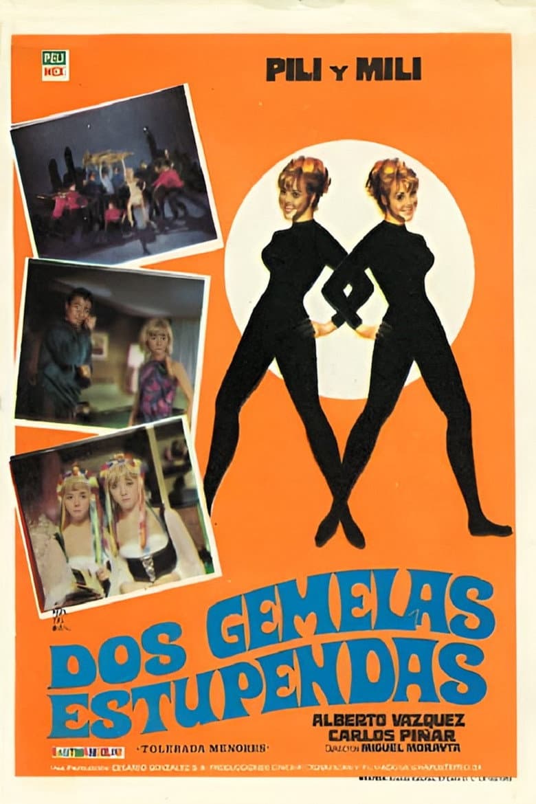 Dos gemelas estupendas poster