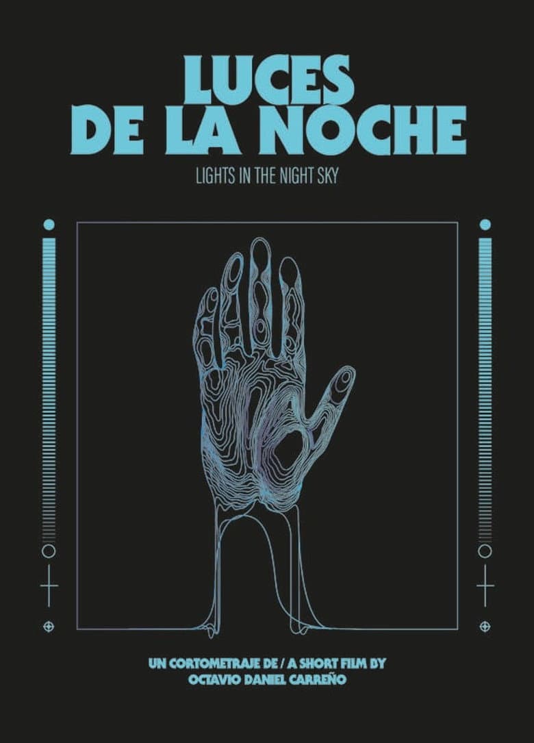Lights In The Night Sky poster