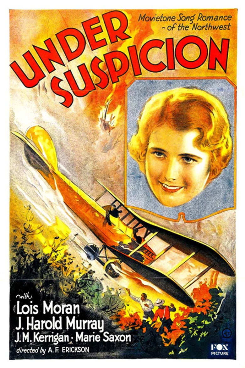 Under Suspicion poster
