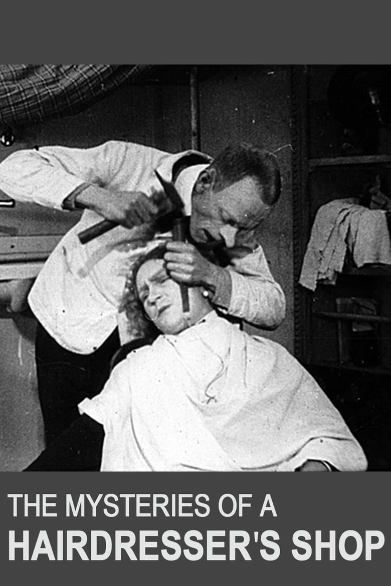 The Mysteries of a Hairdresser's Shop poster