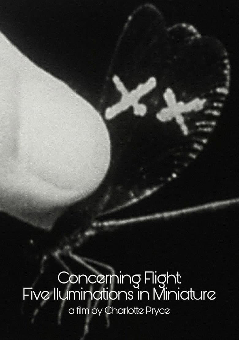 Concerning Flight: Five Illuminations In Miniature poster