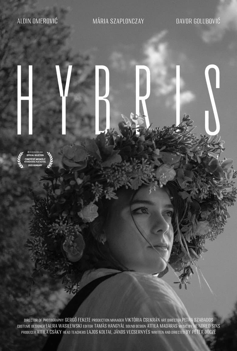 Hybris poster