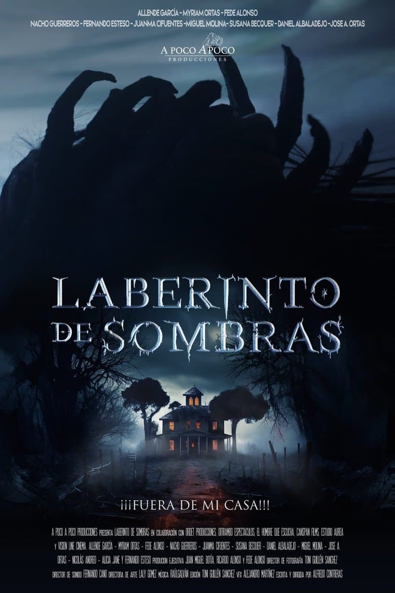 Laberinto de sombras poster