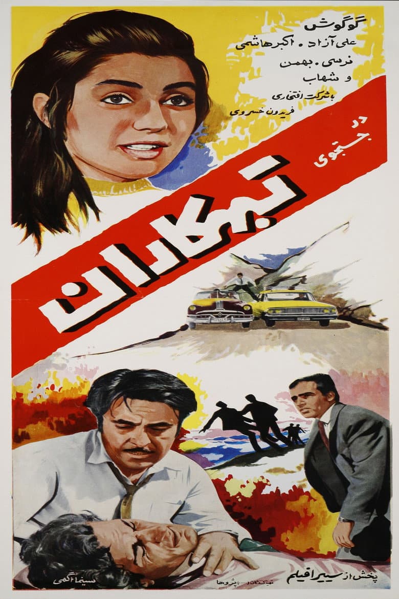 In Pursuit of Criminals poster