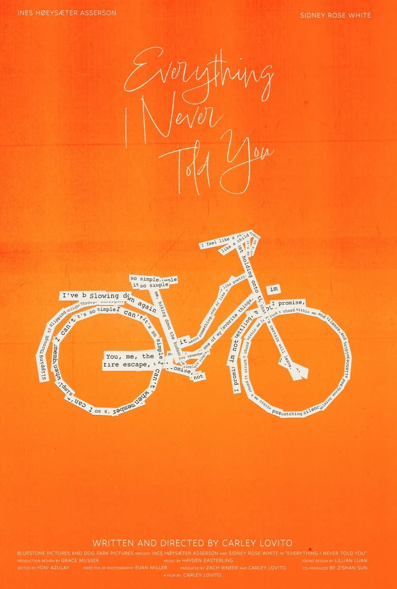 Everything I Never Told You poster