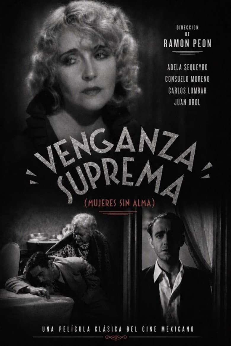 Venganza suprema poster